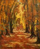 Cesta podzimnm lesem