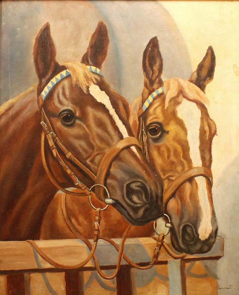 Portrét koní