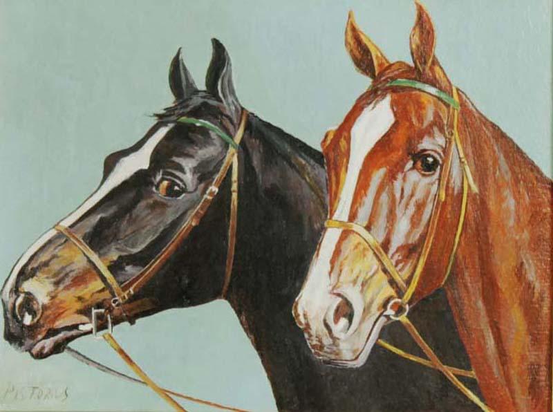 Portrét koní